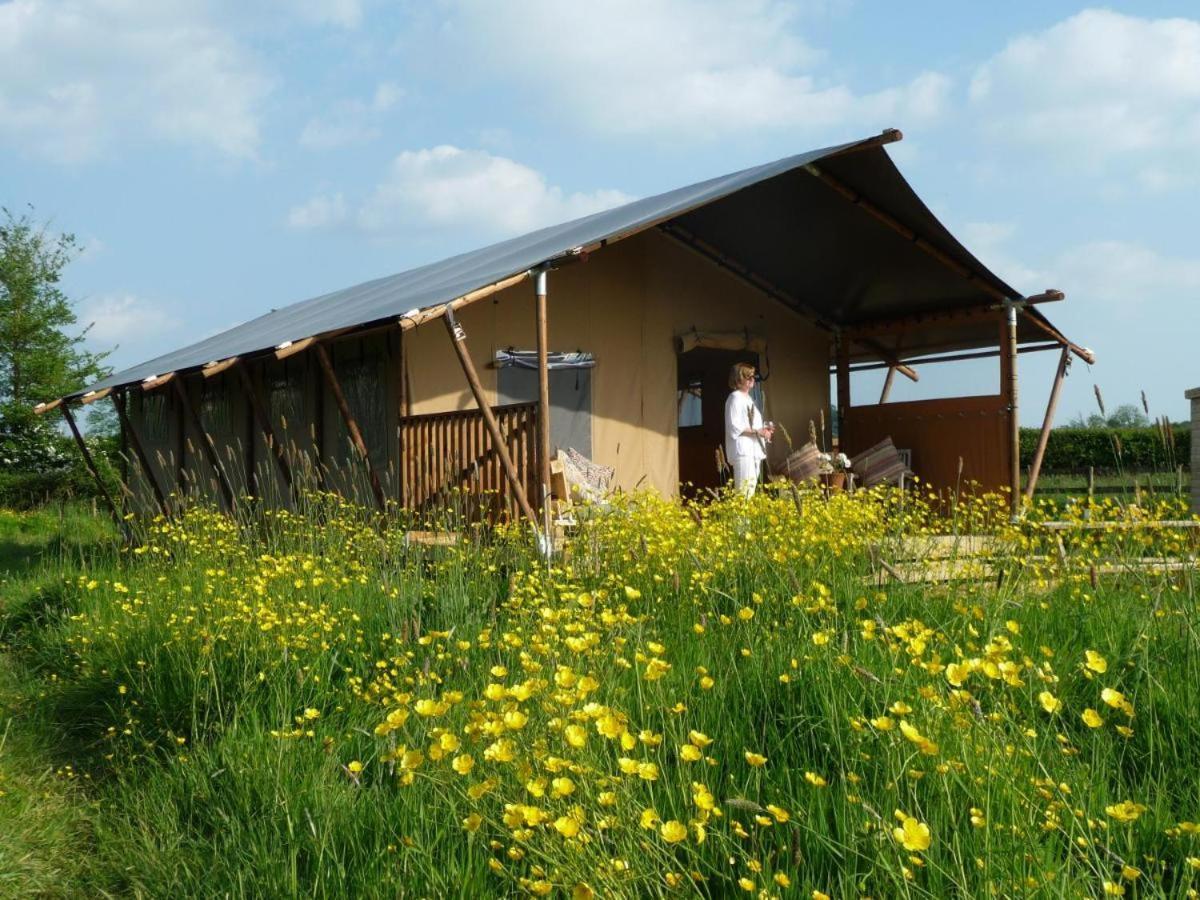 Tall Trees Glamping Baltonsborough Exterior photo